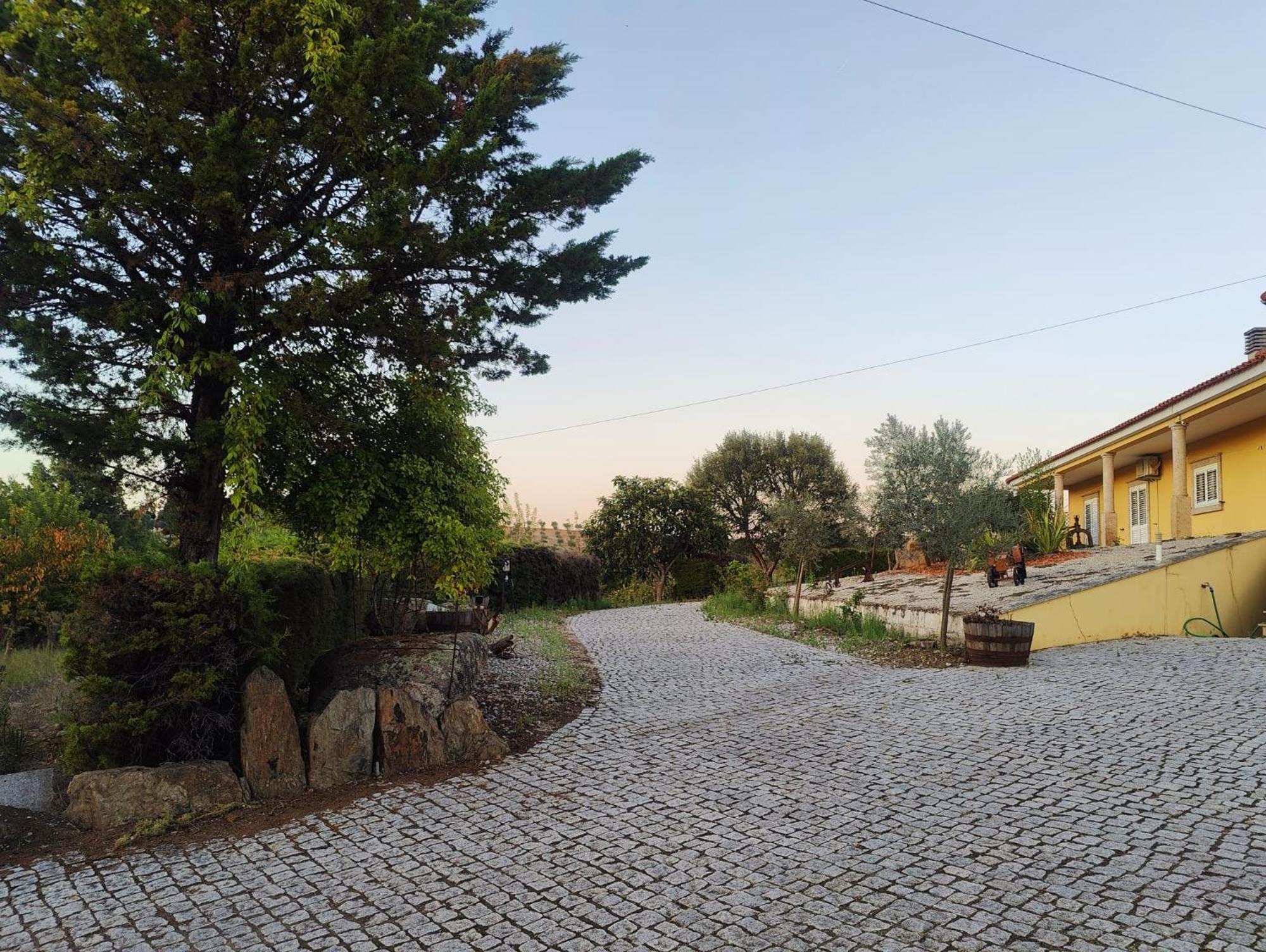 Quinta Da Libelinha Alojamento Local - Mirandela Eksteriør bilde
