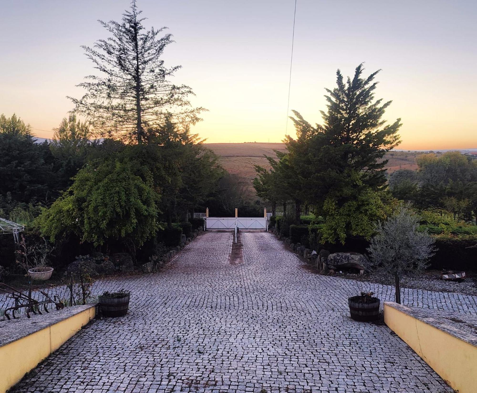 Quinta Da Libelinha Alojamento Local - Mirandela Eksteriør bilde